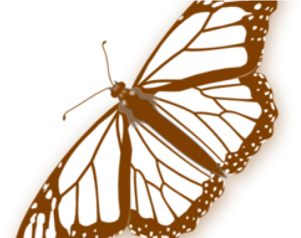 Monarch Butterfly Clipart Png Full Hd - Butterfly Clipart No Background Transparent Png (640x480), Png Download