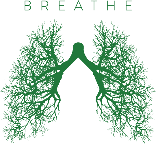 Csulb Breathe Campaign Enforces Smoke-free Campus - Breathe Campaign Csulb Clipart (600x566), Png Download