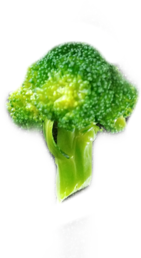 Broccoli Clipart (480x879), Png Download