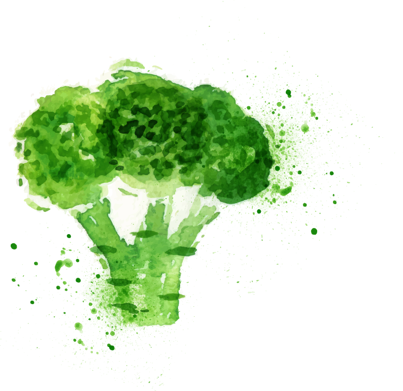 Slaw Poster Painting - Watercolor Painting Clipart (794x770), Png Download