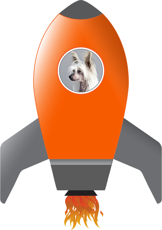 Rocket-dog - Chinese Crested Dog Clipart (550x781), Png Download