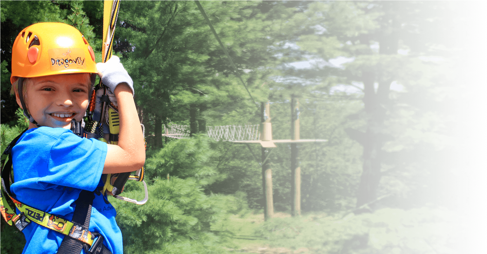 Host A Dragonfly Party For Your Child - Grove Clipart (2000x875), Png Download