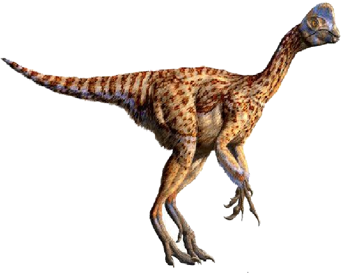 Egg Thief Period - Oviraptor Philoceratops Clipart (768x546), Png Download