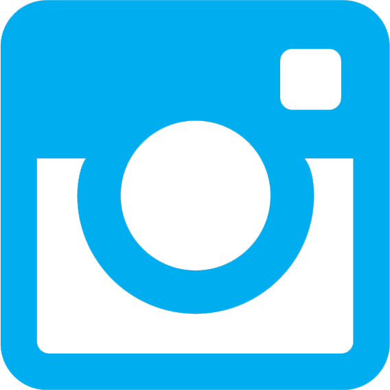 Check Out Our Instagram Feed - Circle Clipart (568x567), Png Download