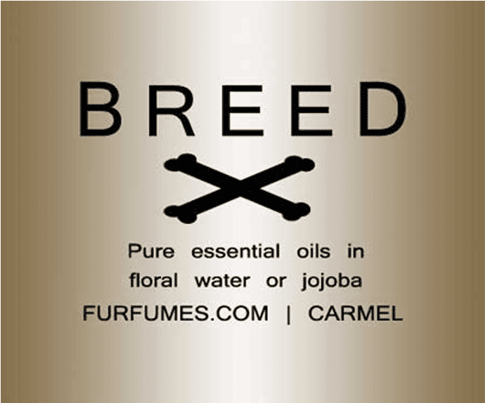 Furfumes Breed - Calligraphy Clipart (800x800), Png Download