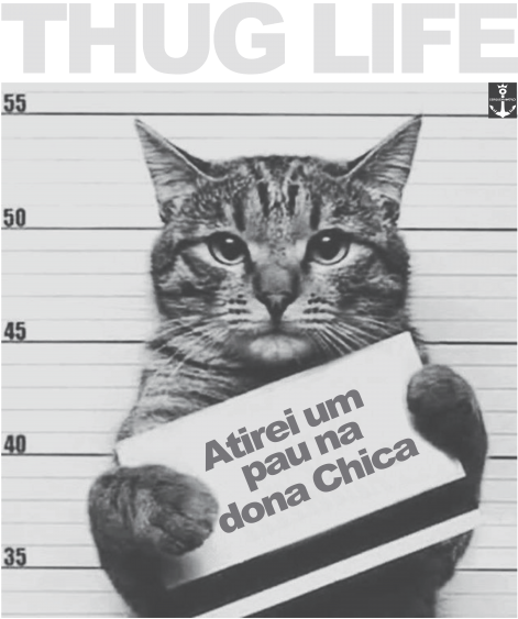 Domestic Short-haired Cat Clipart (480x640), Png Download