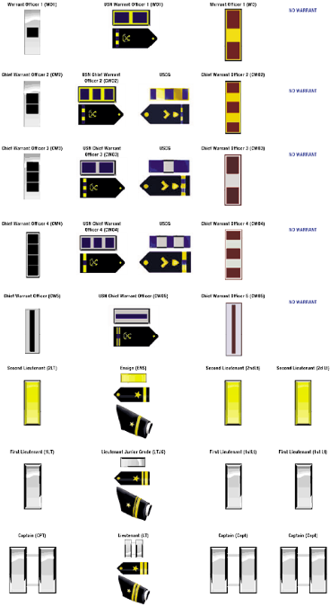 Officer Ranks In The United States Military Consist - Colorfulness Clipart (503x800), Png Download