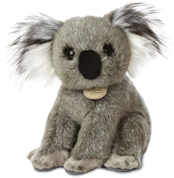 Koala - Ladybird - Plush Koala Clipart (800x800), Png Download