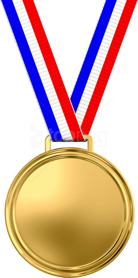 Download Gold Medal Png Images Background - Gold Medal Clipart Transparent Png (480x966), Png Download