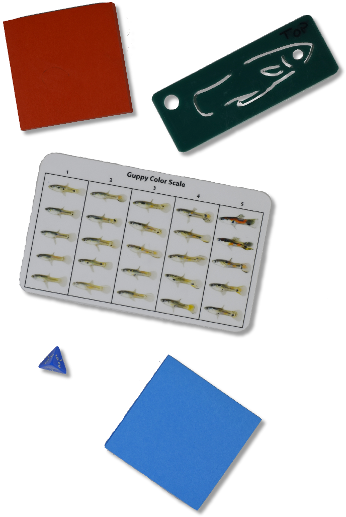 Small Fish Stem Kit - Plastic Clipart (696x1037), Png Download