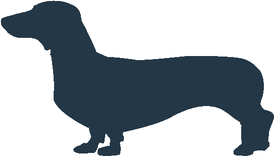 Dachshund Icon Clipart (700x598), Png Download