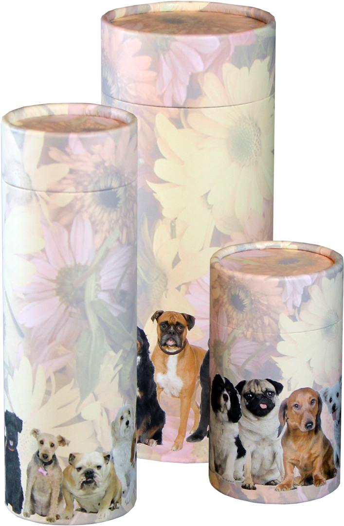 Medium And Small Dog Tubes Clipart (800x1133), Png Download