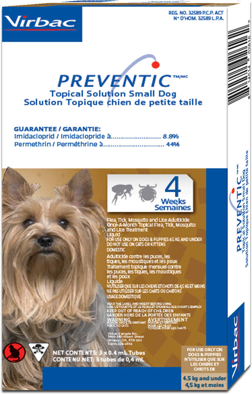 Small Dog - Yorkshire Terrier Clipart (2100x1500), Png Download