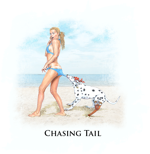 Dalmatian Clipart (600x600), Png Download