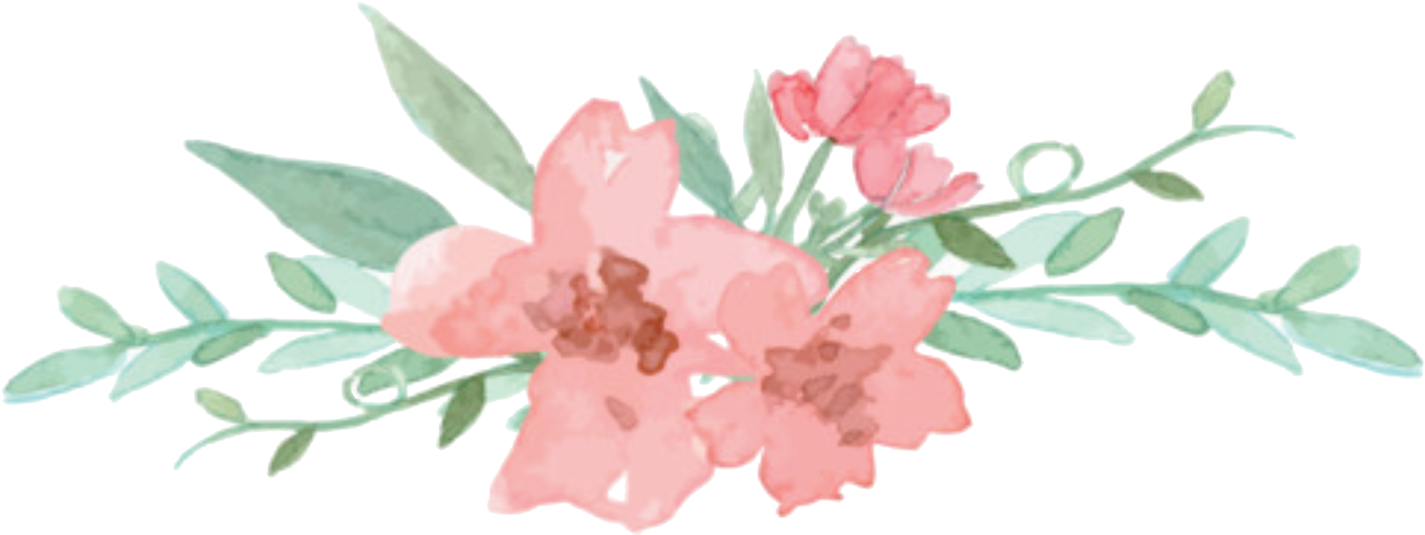 Flower And Leaves Vector Clipart (2201x772), Png Download