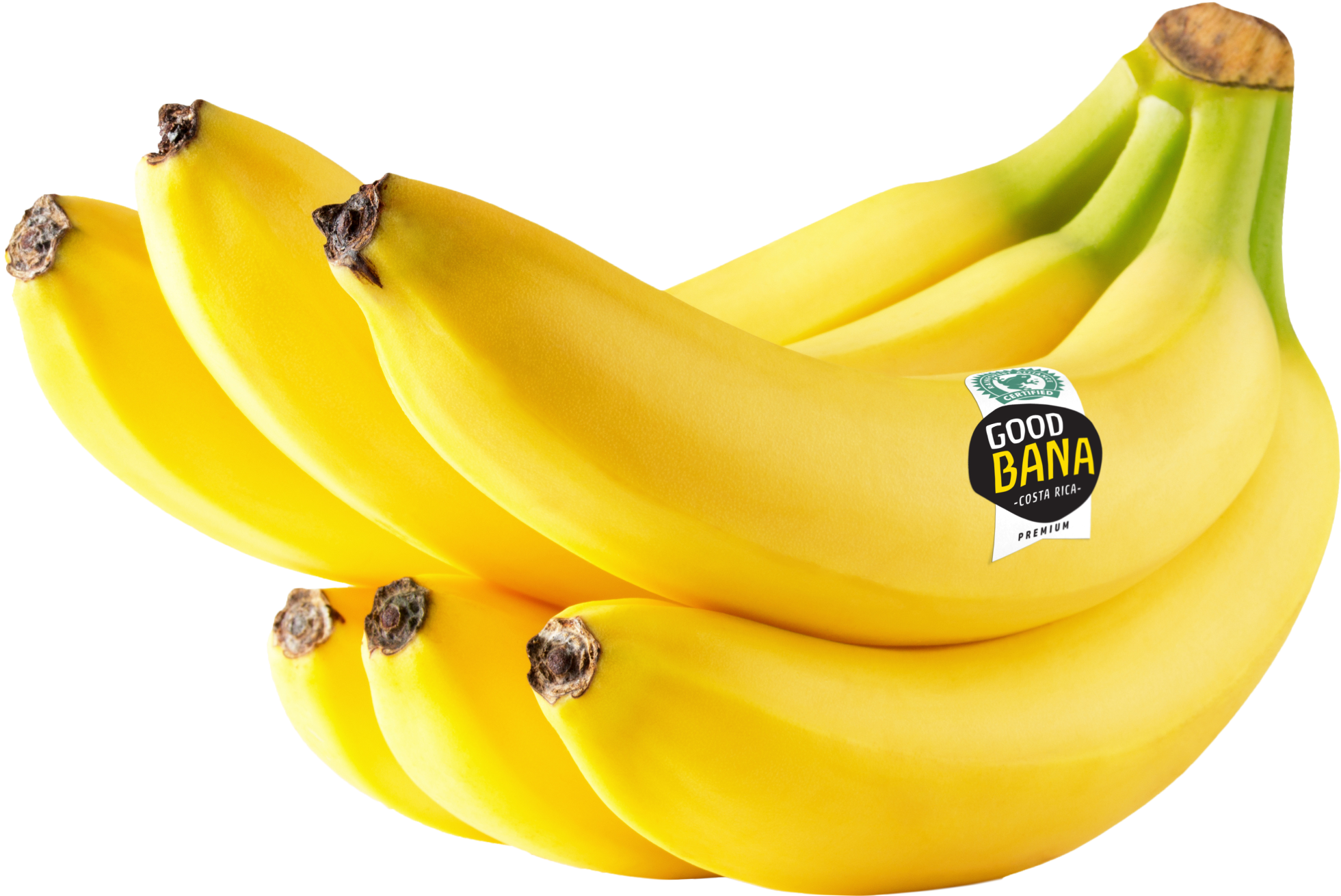 Ticobana - Banana 6 Pieces Clipart (2007x1386), Png Download