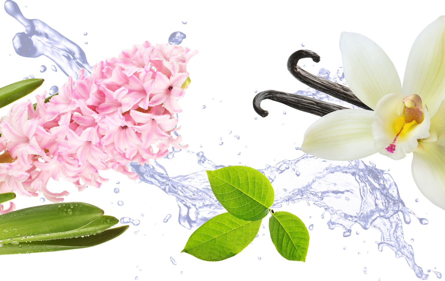If You Like Hyacinth, You'll Also Love - Transparent Transparent Background Water Png Hd Clipart (1534x970), Png Download