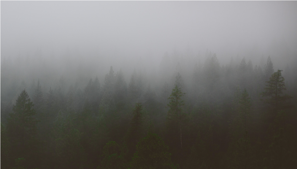 Score 50% - Mist Clipart (1000x1000), Png Download