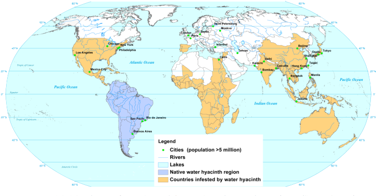 The Water Hyacinth - Water Hyacinth Invasive Map Clipart (806x423), Png Download