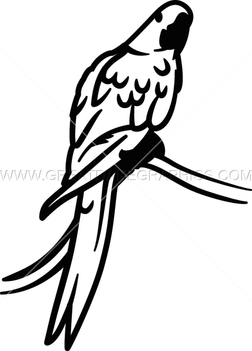 Macaw Clipart Hyacinth Macaw - Araras Em Preto E Branco - Png Download (825x1149), Png Download