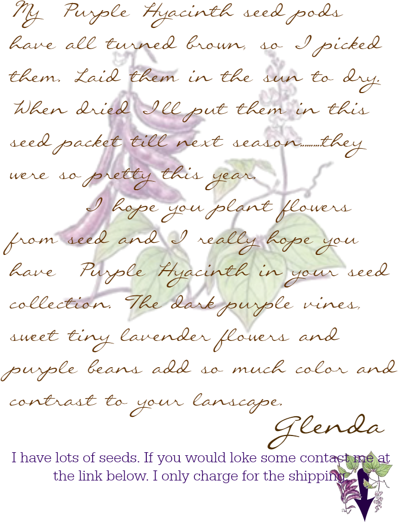 Brown Paper Bag Purple Hyacinth Seed Packet , Png Download - Purple Hyacinth Bean Vine Clipart (786x1032), Png Download