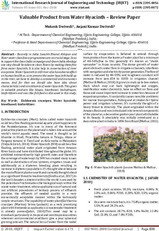 Pdf - Tree Clipart (595x842), Png Download