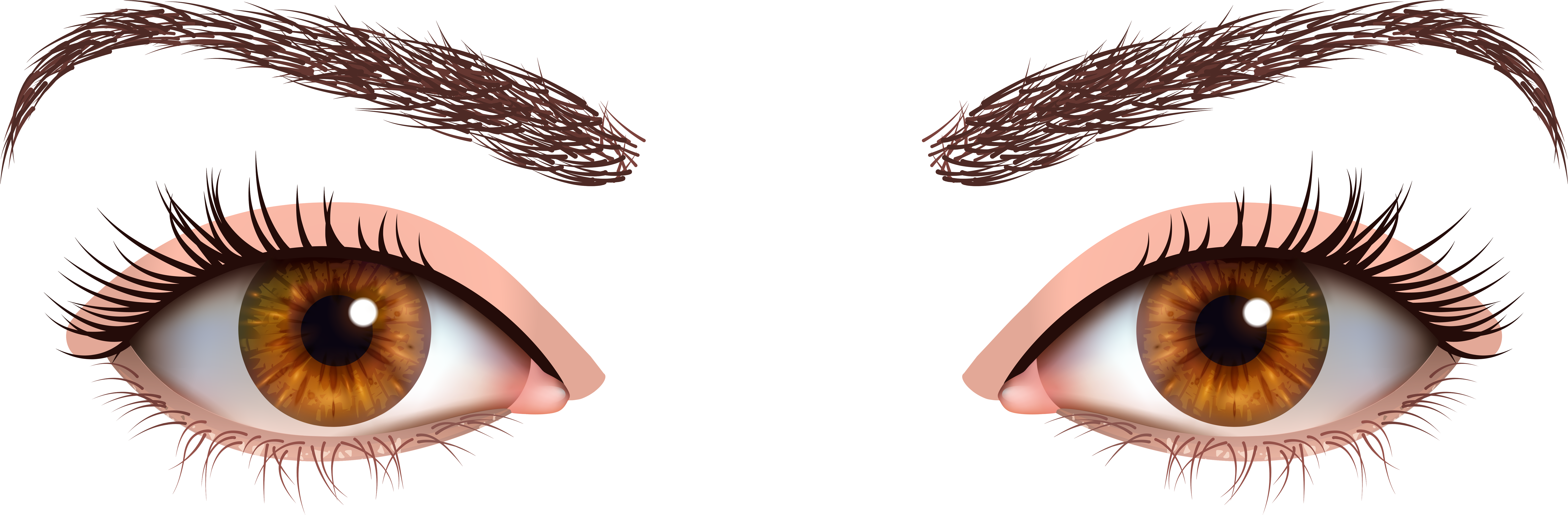 Brown Female Eyes Png Clipart - Female Eyes Png Transparent Png (8000x2746), Png Download