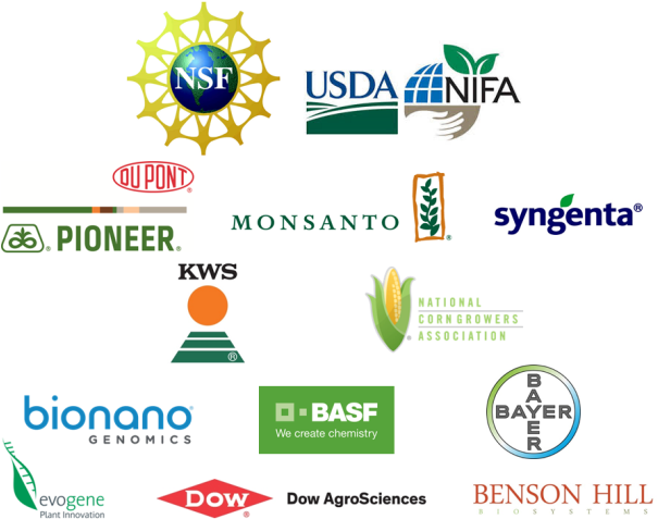 Interested In Becoming A Sponsor Of The Maize Genetics - National Science Foundation Clipart (650x488), Png Download