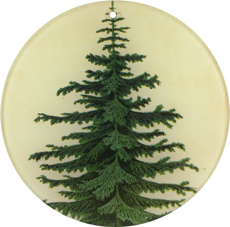 Christmas Tree Clipart (800x800), Png Download