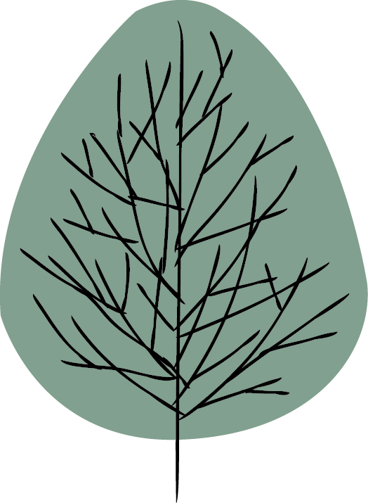 Circle Clipart (524x715), Png Download