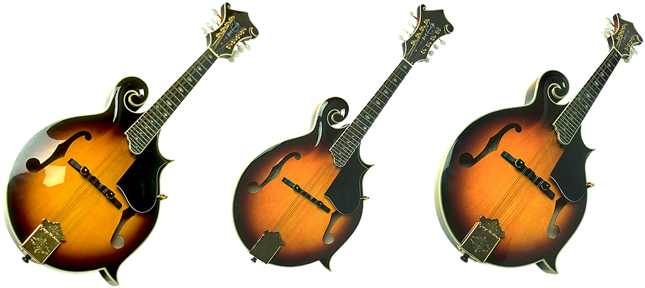 Guitar, Strings, Acoustics, Music, Tool, Jazz, Sound - Indian Musical Instruments Clipart (960x434), Png Download