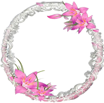 #mirror #frame #board #boarder #background #photo #picture - Bougainvillea Clipart (450x450), Png Download