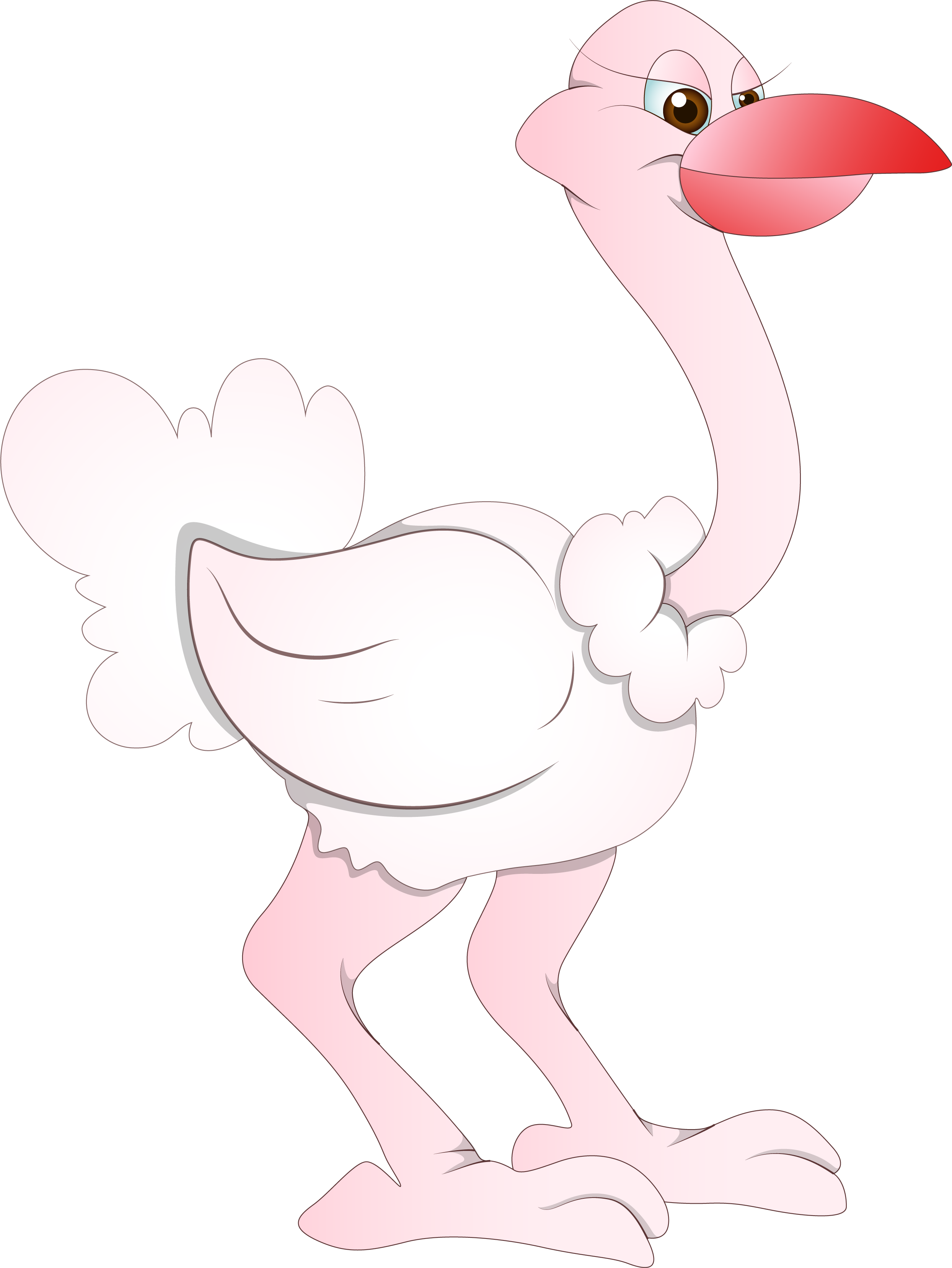 Common Bird Cartoon Drawing Feather Transprent Png - Cartoon Clipart (2488x3314), Png Download