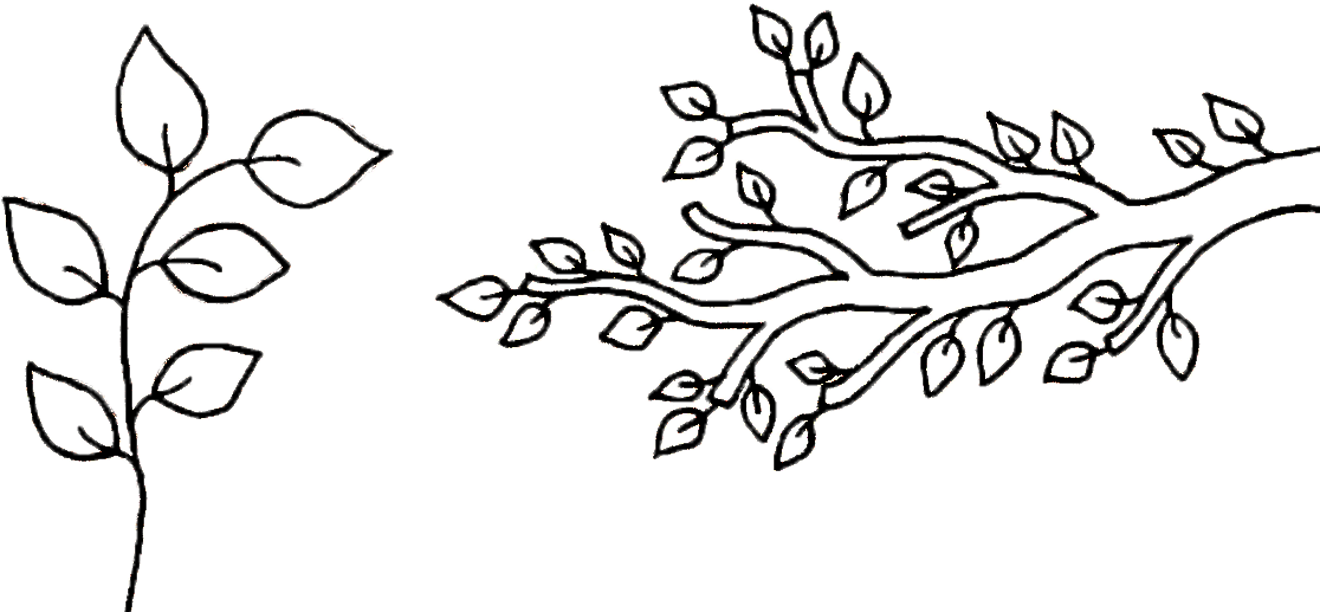 1417 X 686 - Tree Branch With Leaves Drawing Clipart (1320x612), Png Download
