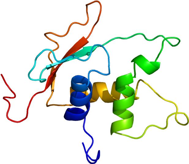 Protein Irf4 Pdb 2dll - Egfp Protein Clipart (666x586), Png Download