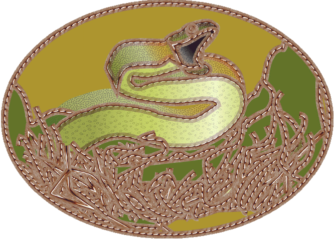 Snake - Acoustic Guitar Rosettes Clipart (666x479), Png Download