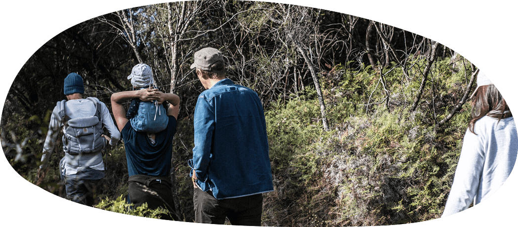 Happy Birthday To Me - Tree Clipart (1048x460), Png Download