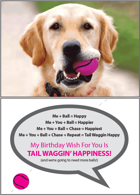 Birthday - Tennis Ball - Dog With Ball In Mouth Clipart (600x800), Png Download