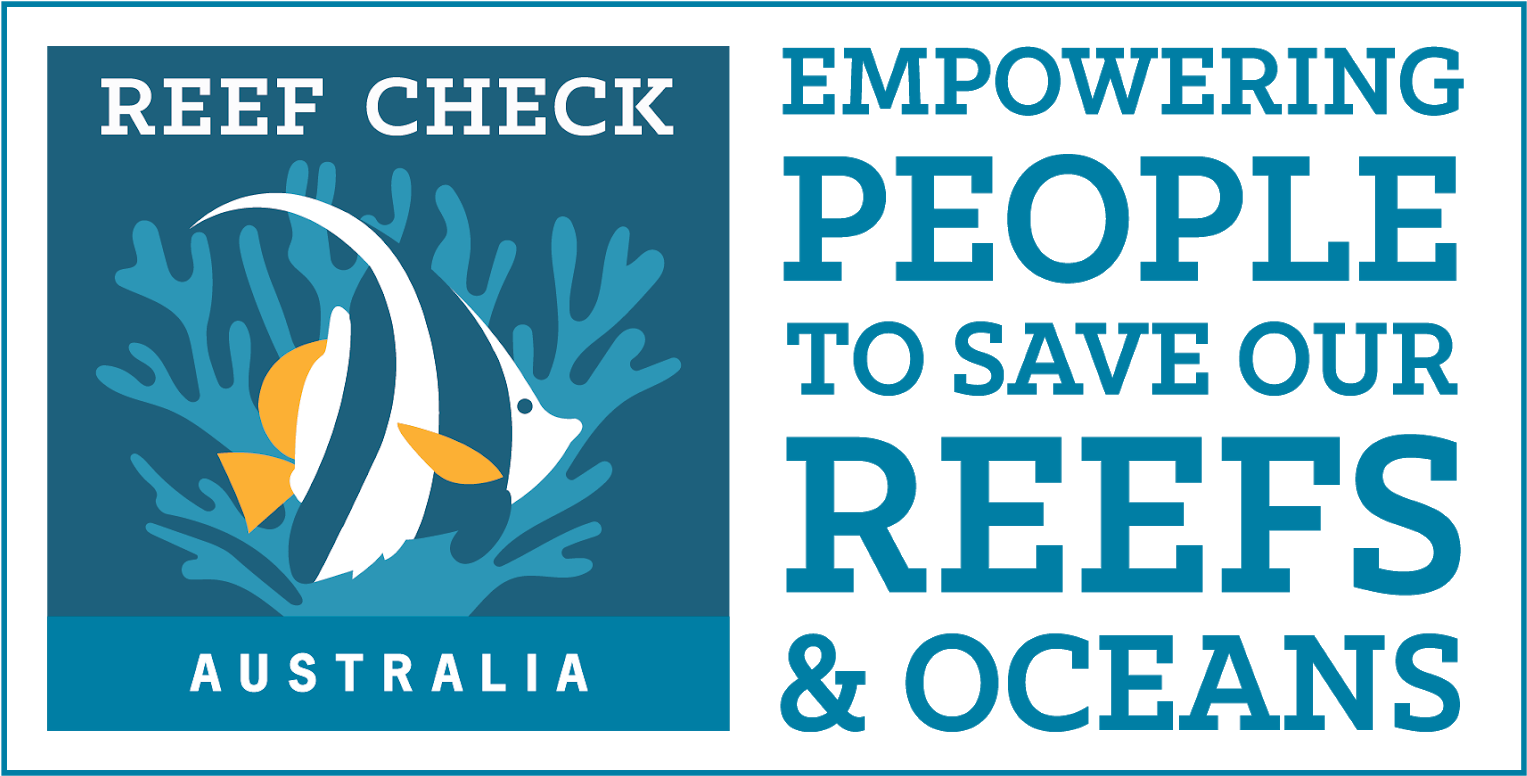 Pbs Org Clipart (1600x847), Png Download