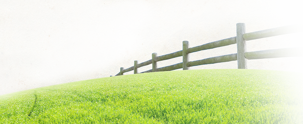 Organic Prairie - Grass Pasture Clipart (998x408), Png Download