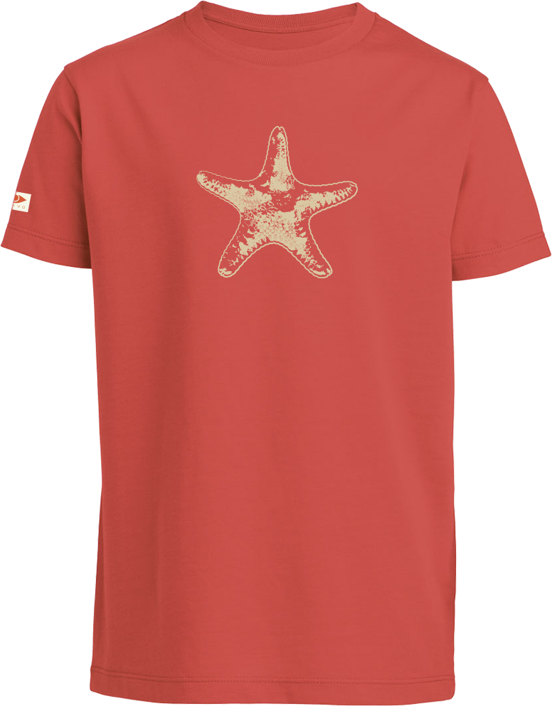 Camiseta Niño Estrella De Mar 5-8 Años - Gucci T Shirt Polo For Kids Clipart (776x992), Png Download