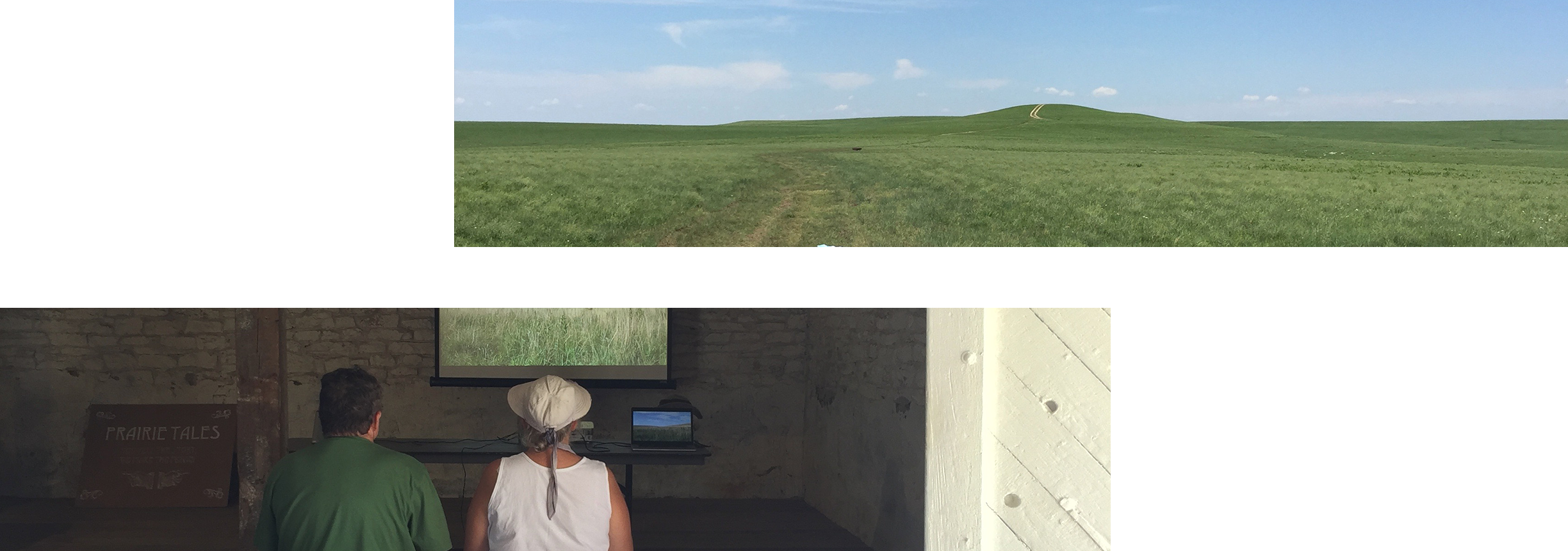 Committments - Grass Clipart (2448x861), Png Download