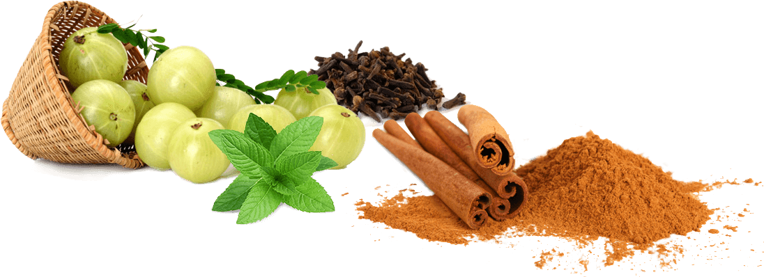 Download Png Image Report - Ayurveda Png Clipart (1096x398), Png Download