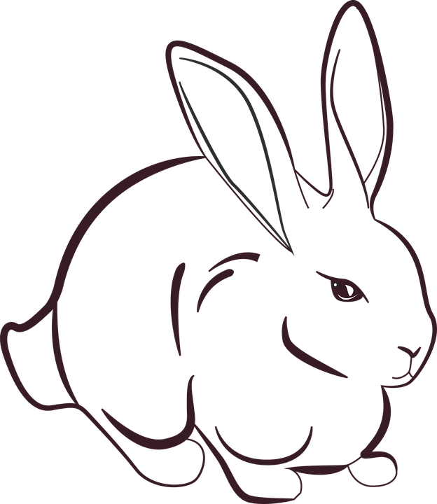 Rabbit Animal Grass Animals Prairie Dandelion - Art Drawing Of Rabbit Clipart (624x720), Png Download