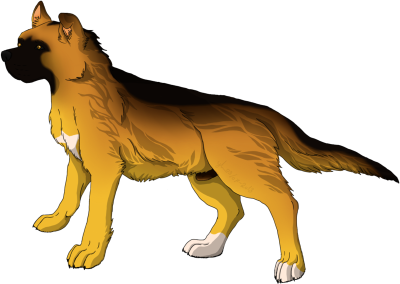 Anime Dog Png - Anime Dog Transparent Background Clipart (800x568), Png Download