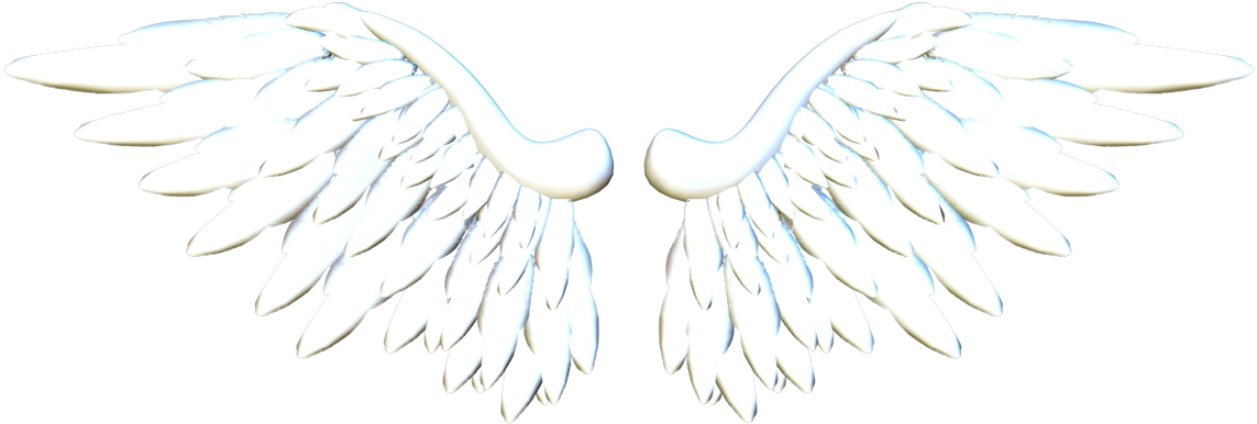 Http - //i48 - Tinypic - Com/11lnaxf - Asas De Anjo - Asas De Anjo Para Montagem Clipart (1143x386), Png Download