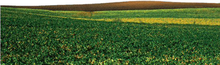 Groung Png - Field Clipart (700x583), Png Download