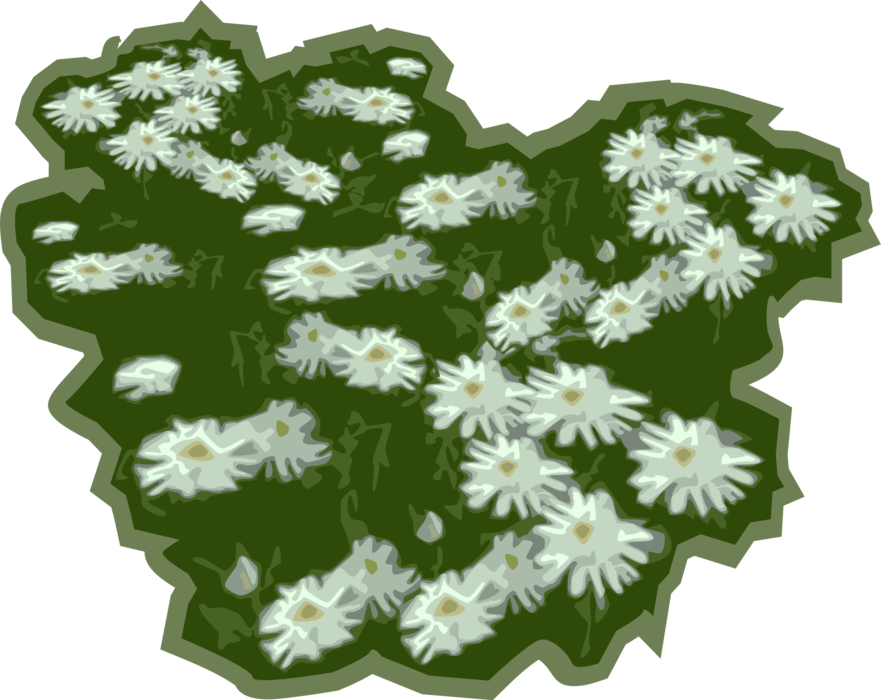 Daisy Flowers In - African Daisy Clipart (881x700), Png Download