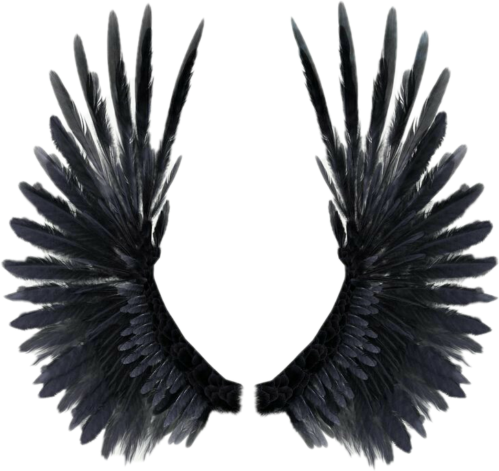 Realistic Wings , Png Download - Реалистичные Крылья Clipart (726x686), Png Download