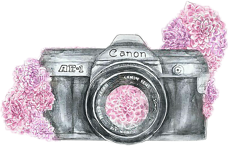 #camerastickers #cute #camera - Camera Drawing With Color Clipart (794x508), Png Download